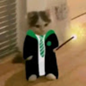 Meet your Posher, Ren